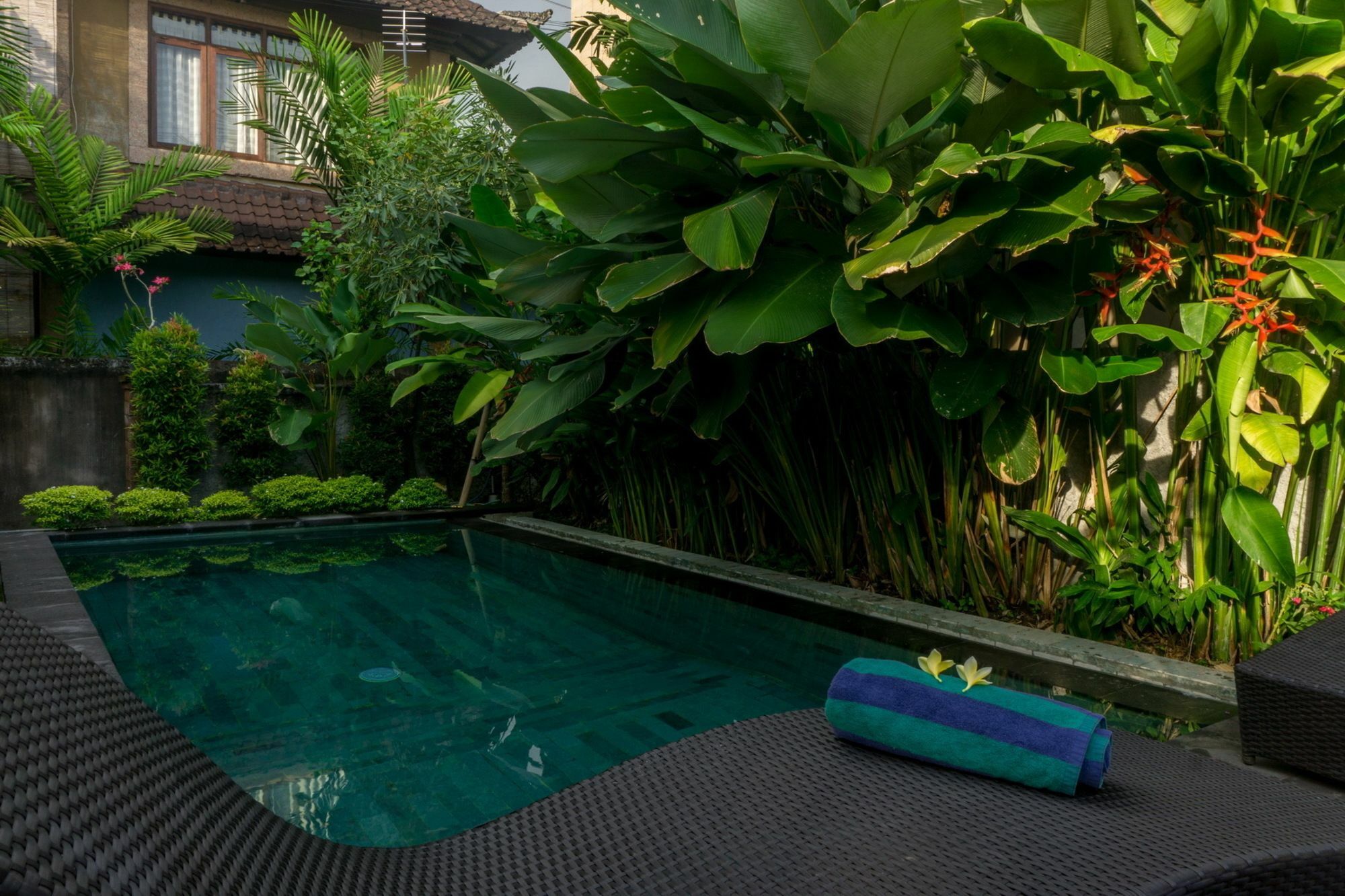 Eka Bali Guest House Ubud Exteriör bild